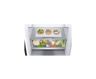 LG GBB92MCBAP NoFrost - 1461009 - zdjęcie 6